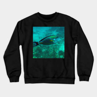 Surgeonfish Crewneck Sweatshirt